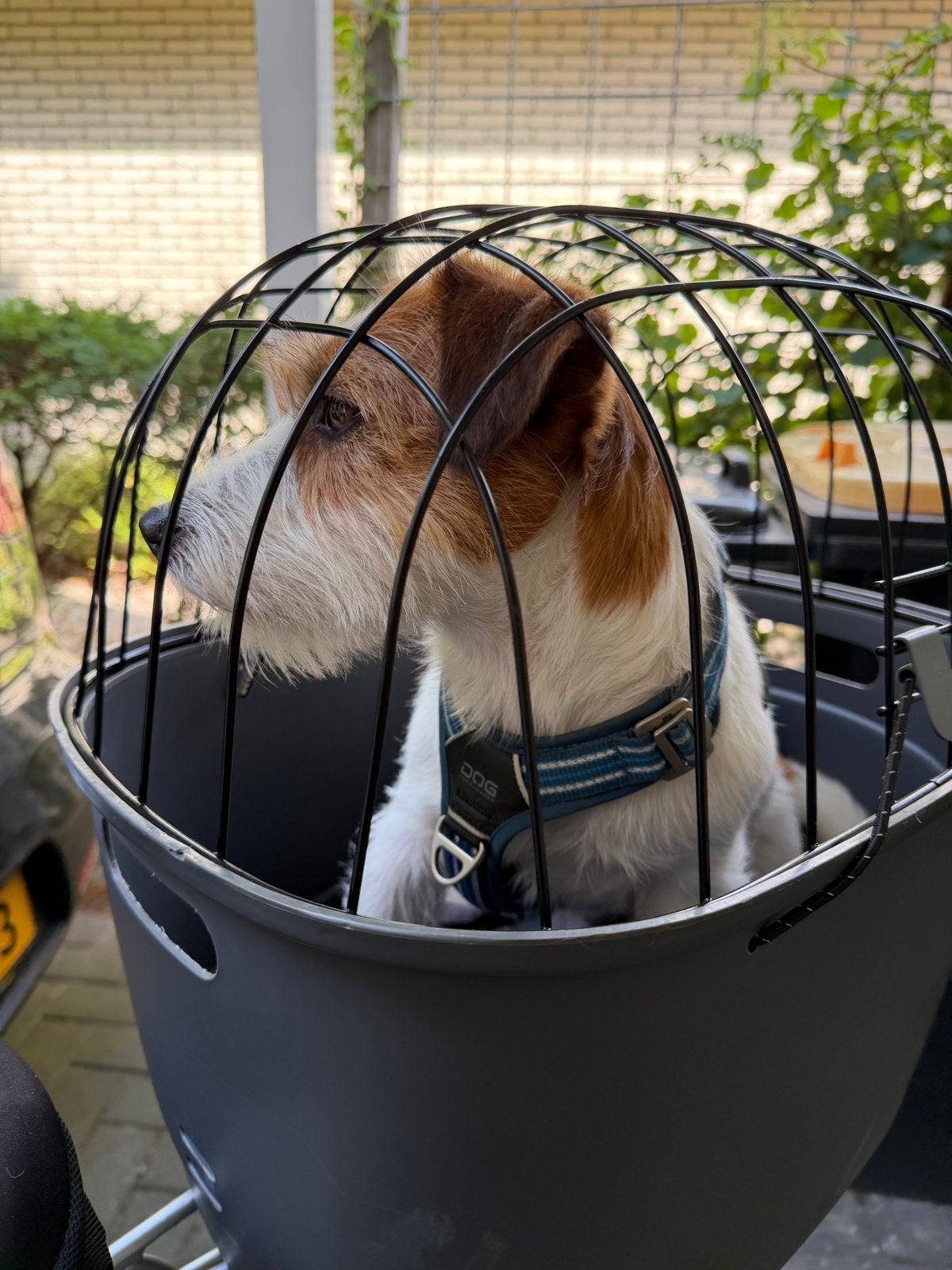 Trixie Fietsmand Bagagedrager voor Honden, Fietsen en Brommers, Fietsaccessoires | Fietsmanden, Ophalen of Verzenden, Gebruikt