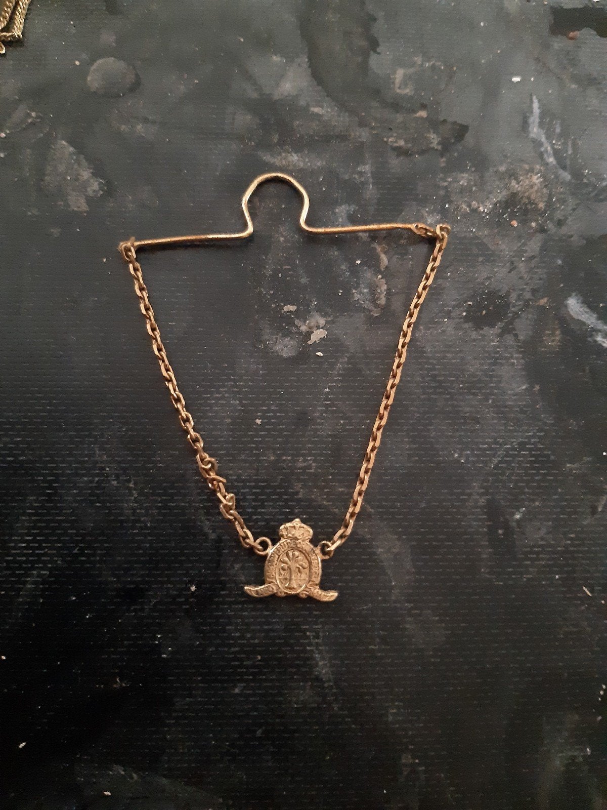 Vintage gouden dasspeld met ketting en embleem, Ophalen of Verzenden, Gebruikt