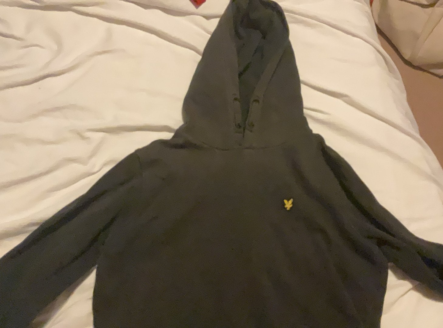 Lyle and scott hoodie trui, Ophalen of Verzenden, Gedragen, Zwart