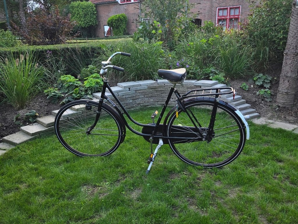 Union damesfiets – oldtimer jaren 50 – Berini voorbereid, Ophalen, Terugtraprem, 51 tot 55 cm, Union