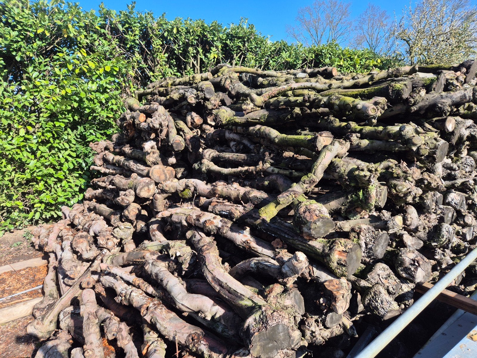 Stam hout haardhout kachelhout openhaardhout brandhout, 6 m³ of meer, Ophalen, Stammen