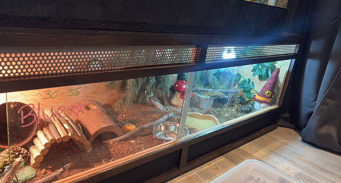 Terrarium 145x46x48, Dieren en Toebehoren, Reptielen en Amfibieën | Toebehoren, Ophalen of Verzenden, Gebruikt