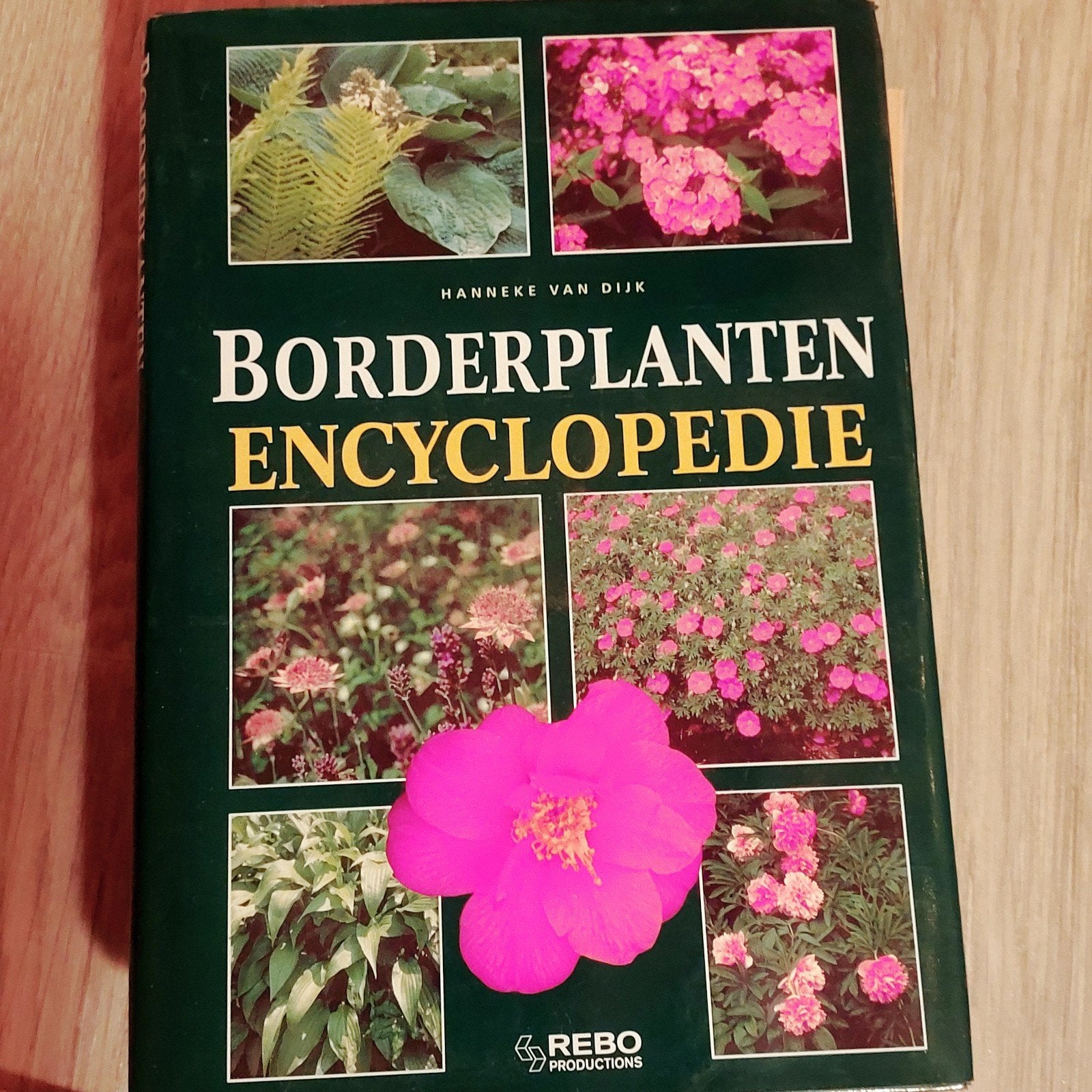 Borderplanten Encyclopedie - Hanneke van Dijk, Gelezen, Hanneke van Dijk, Ophalen of Verzenden, Los deel