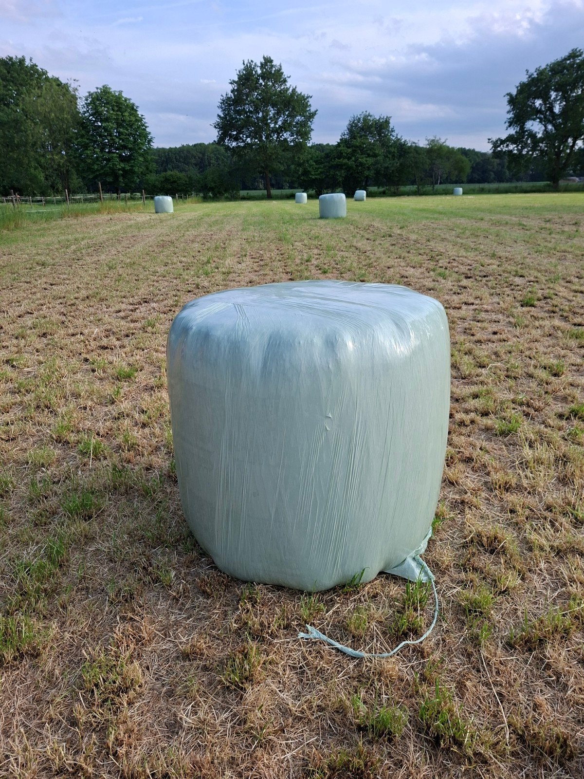 Rollen hooi 90 cm te koop., Dieren en Toebehoren, Dierenvoeding, Ophalen, Vee