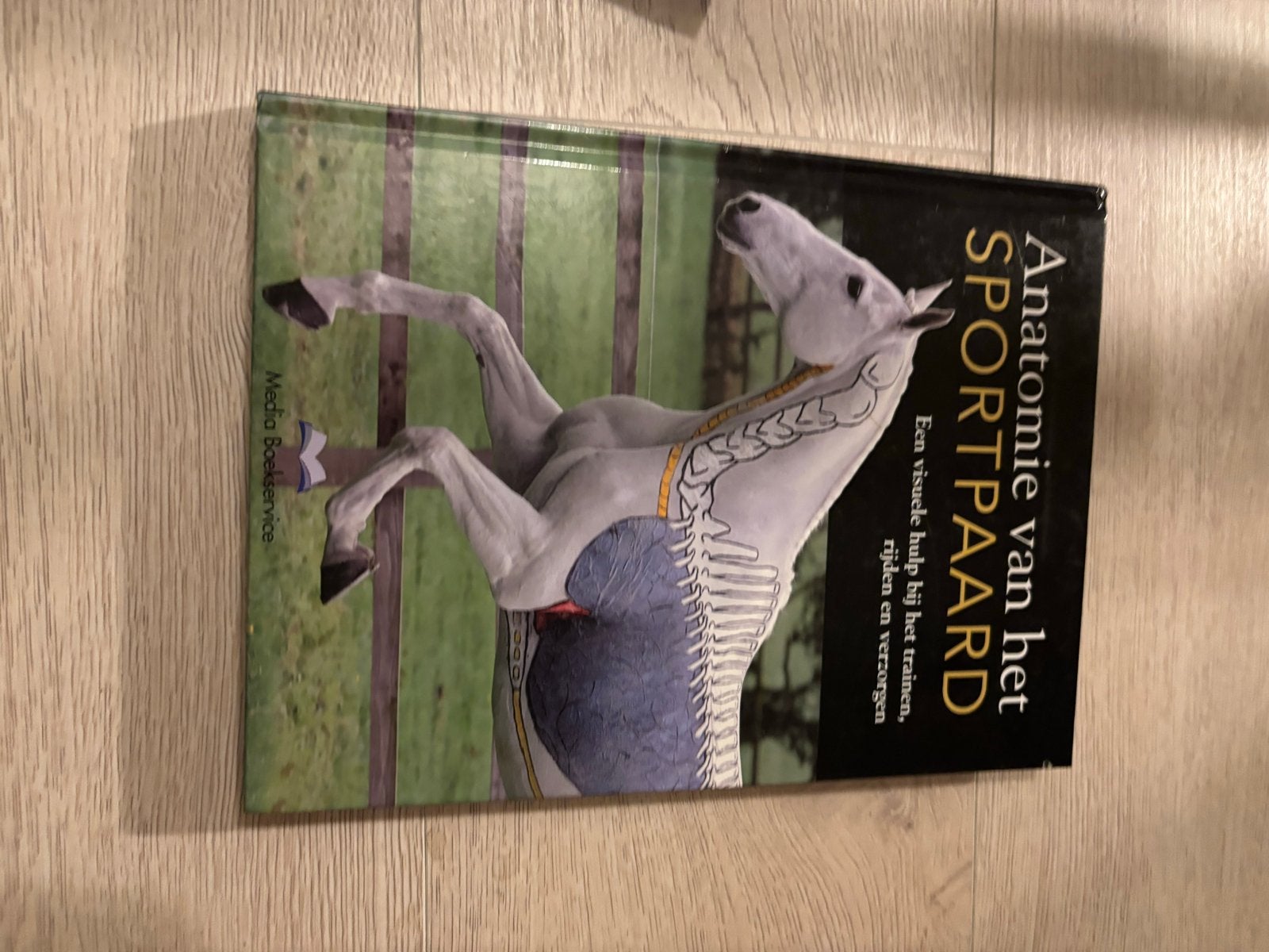 Anatomie van het Sportpaard - Visuele Hulp, Ophalen of Verzenden, Zo goed als nieuw, Paarden of Pony's