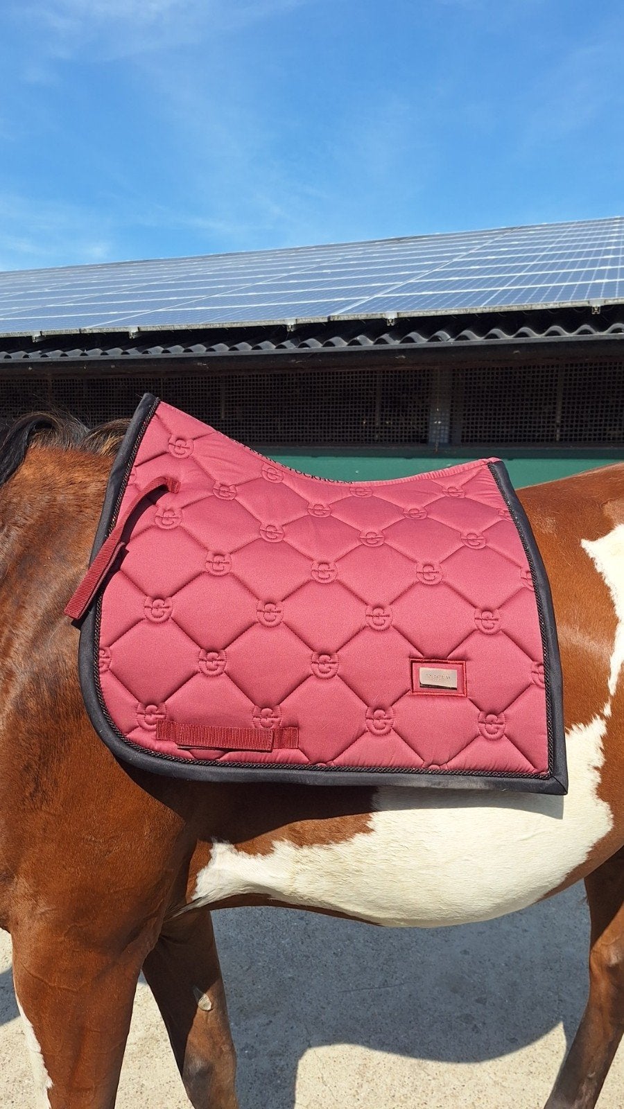 ES Soft Rouge, Full (L), Dressuurdekje, Equestrian Stockholm, Ophalen of Verzenden