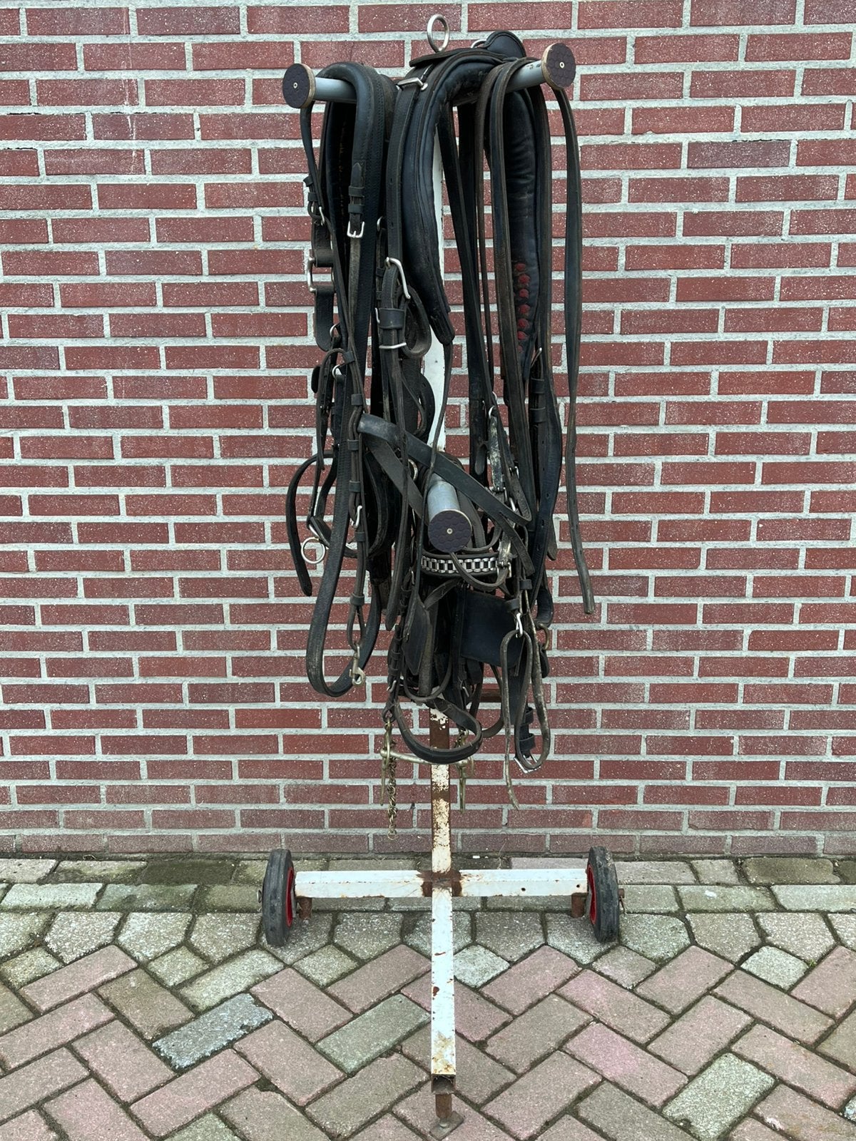 Compleet COB enkelspan mentuig met tuigrek, Ophalen, Zwart, Cob, BR