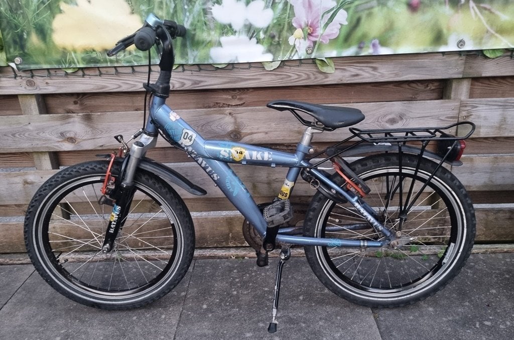 jongensfiets 20 inch batavus snake, Fietsen en Brommers, Ophalen of Verzenden, Gebruikt, 20 inch of meer