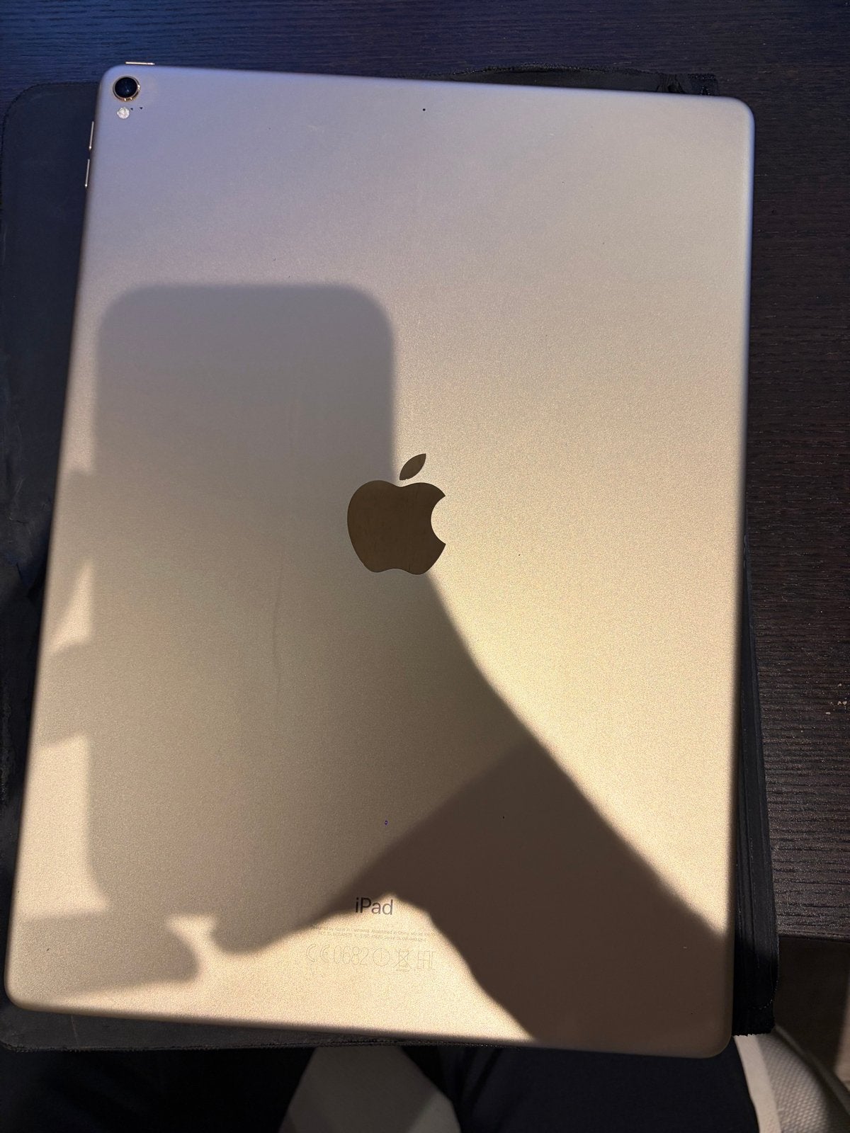 Foto 3 van iPad Pro 12,9 inch (2e generatie) 64GB met hoesje