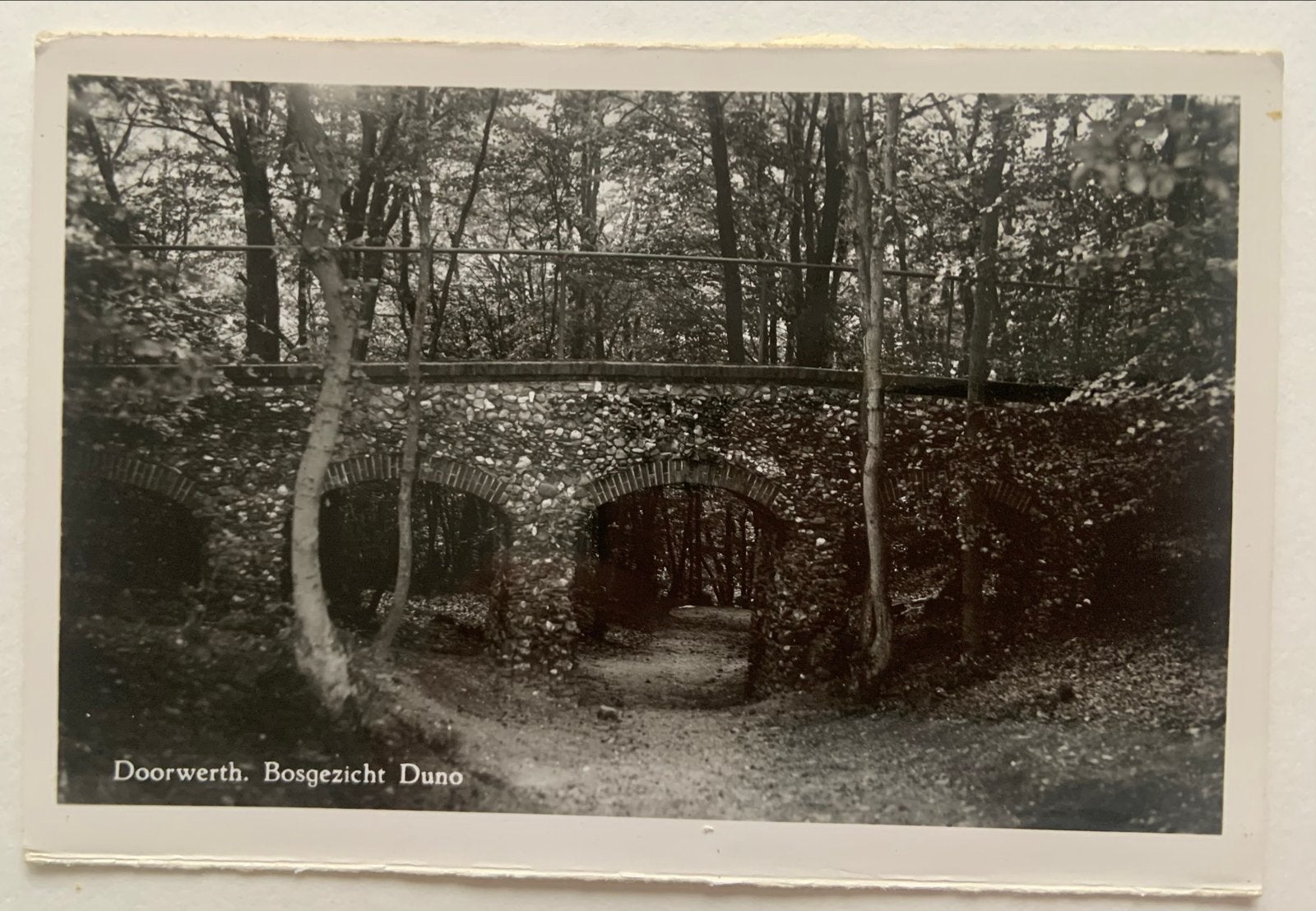 Doorwerth: Bosgezicht Duno, Verzenden, Voor 1920, Ongelopen, Gelderland