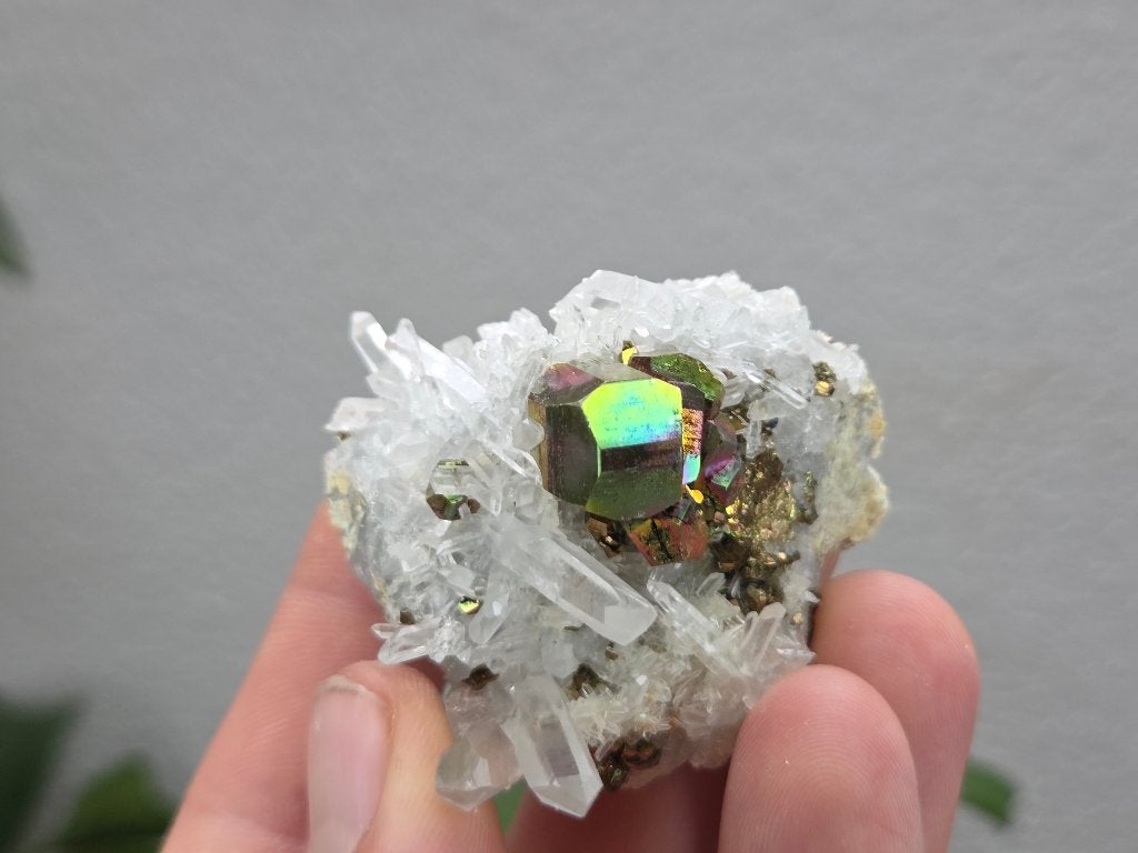 Regenboog Pyriet Indonesië, Ophalen of Verzenden, Mineraal