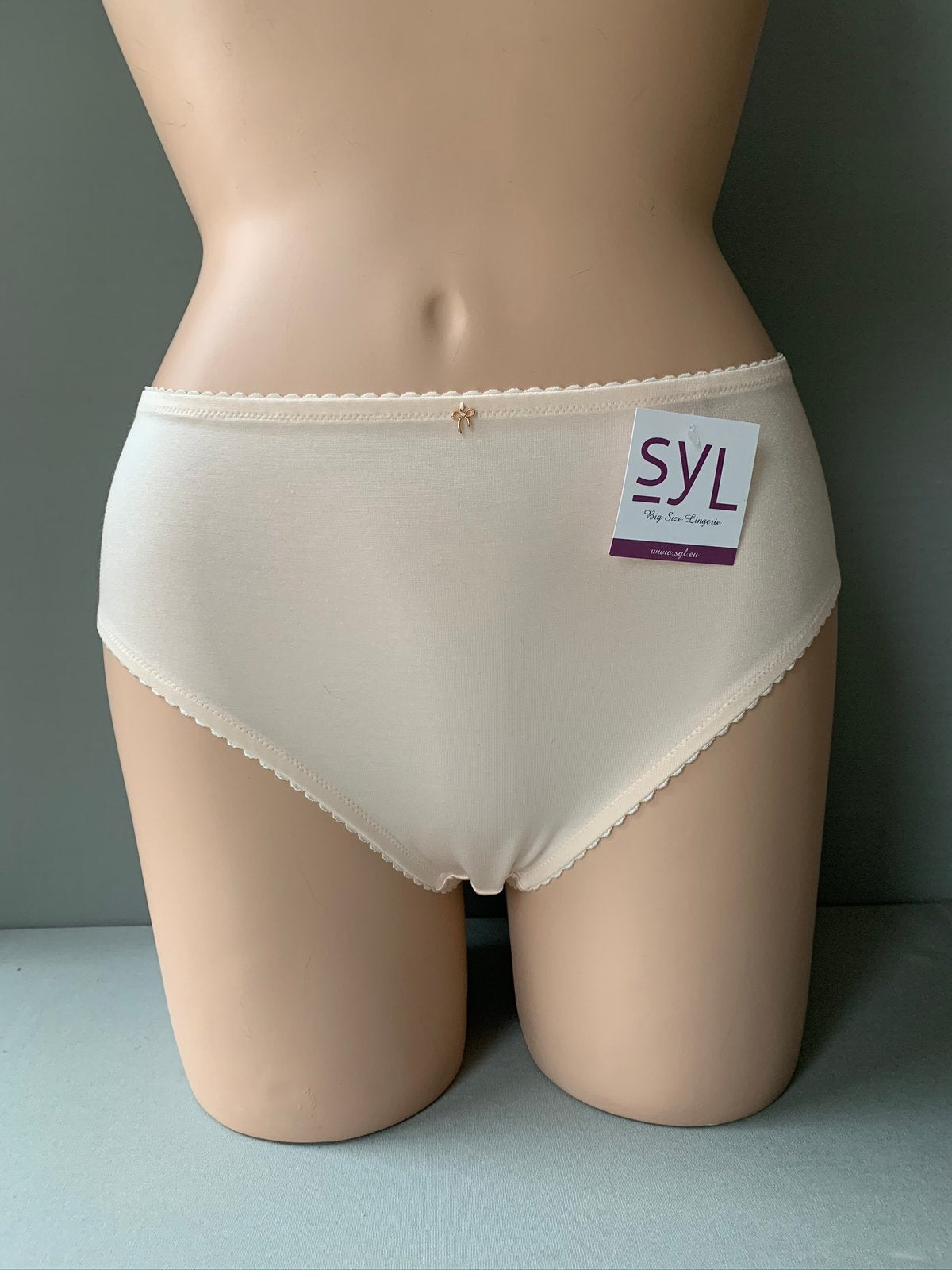 Syl slip maat 40 - 44 - 52 model charis rosee, Verzenden, Roze, Slip