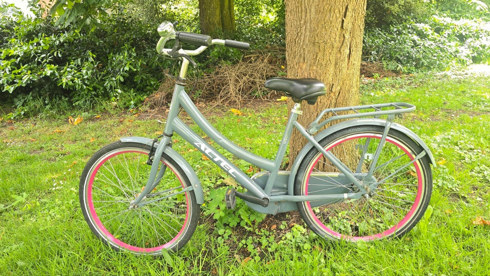Omafiets, Fietsen en Brommers, Fietsen | Dames | Omafietsen, Ophalen, Altec, Gebruikt, Handrem