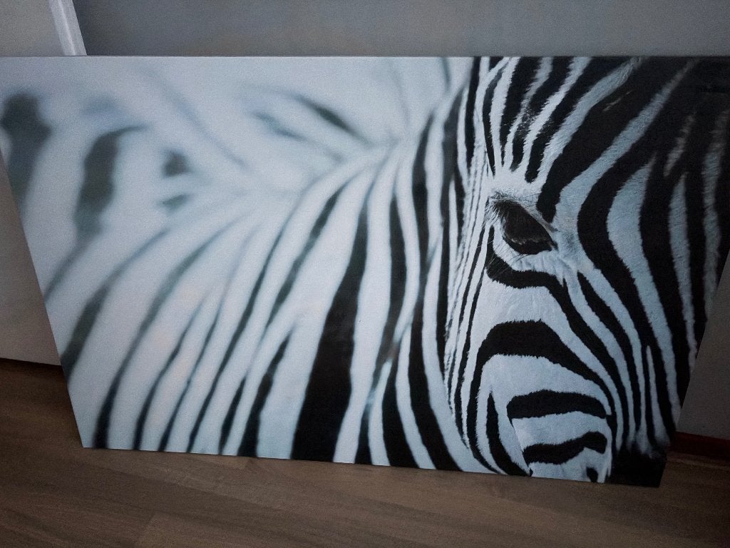 Canvas schilderij IKEA, Ophalen, Zo goed als nieuw, Schilderij, 100 tot 125 cm