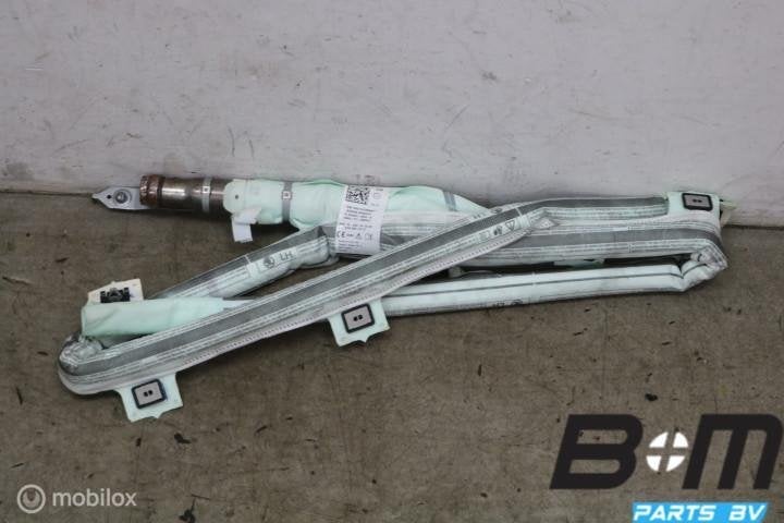 Airbag hemel links Skoda Fabia 4 6VA880741D, Gebruikt