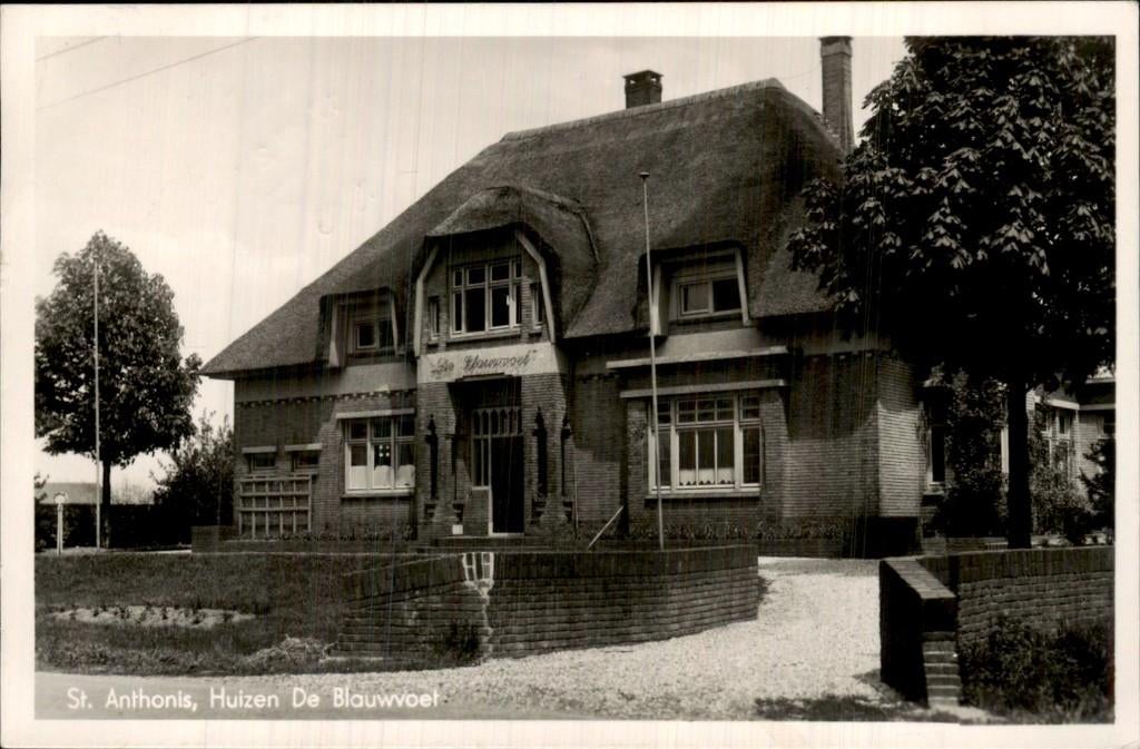 St. Anthonis - Huizen De Blauwvoet - Voorgevel, Ophalen of Verzenden, 1940 tot 1960, Gelopen, Noord-Brabant
