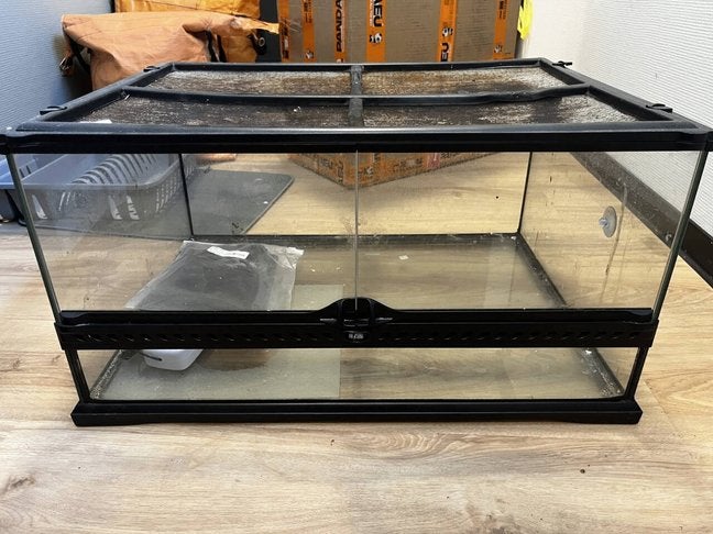 Glazen terrarium 654532 cm + gratis warmtemat, Dieren en Toebehoren, Ophalen of Verzenden, Gebruikt, Terrarium of Paludarium
