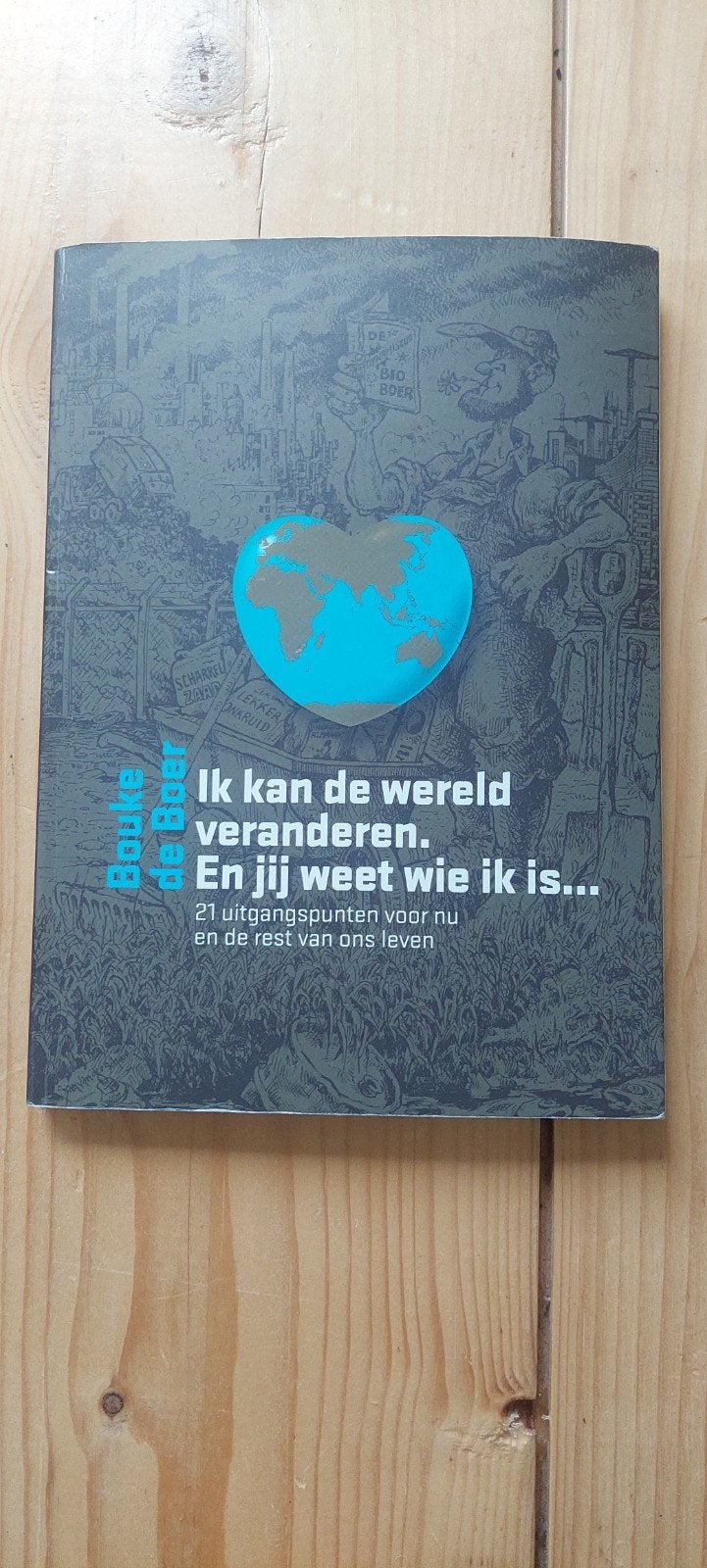 Ik kan de wereld veranderen - Bouke de Boer, Ophalen of Verzenden, Zo goed als nieuw, Bouke de Boer, Nederland