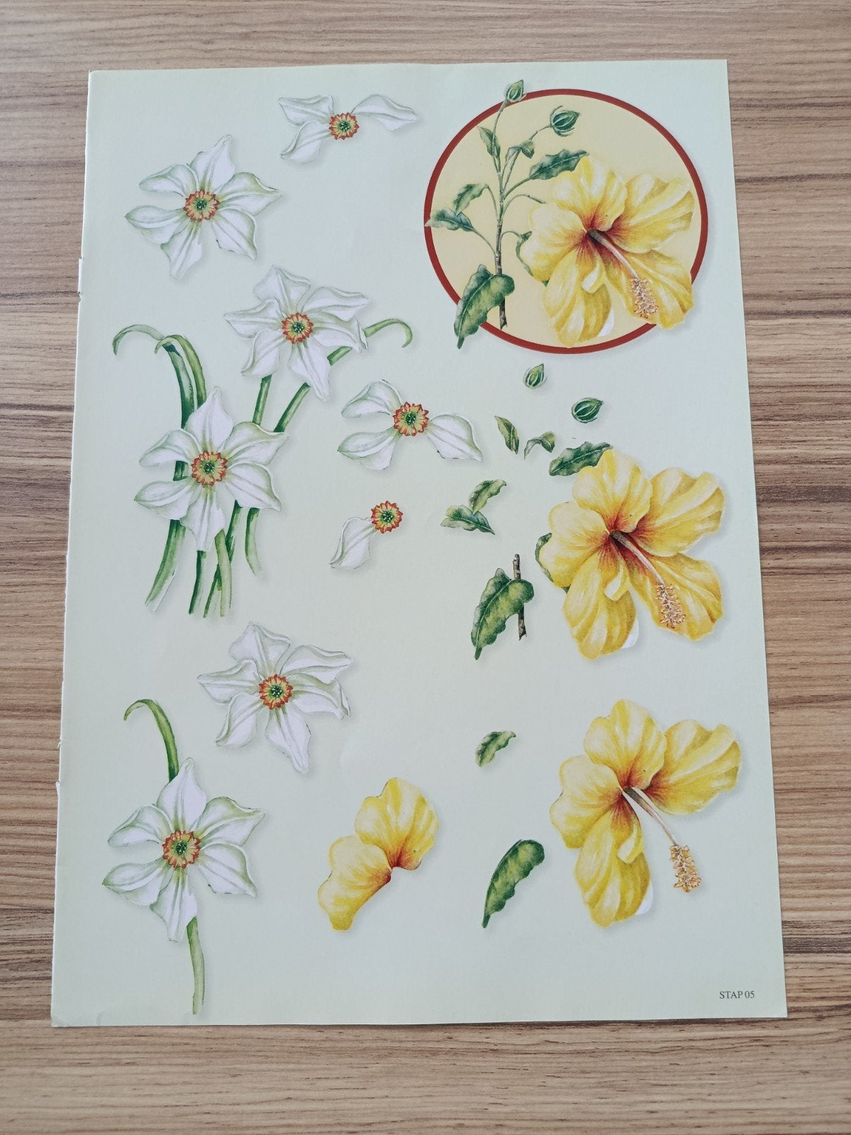 Bloemen Knipvel,, Hobby en Vrije tijd, Kaarten | Zelf maken, Ophalen of Verzenden, Nieuw, Natuur, Knipvel