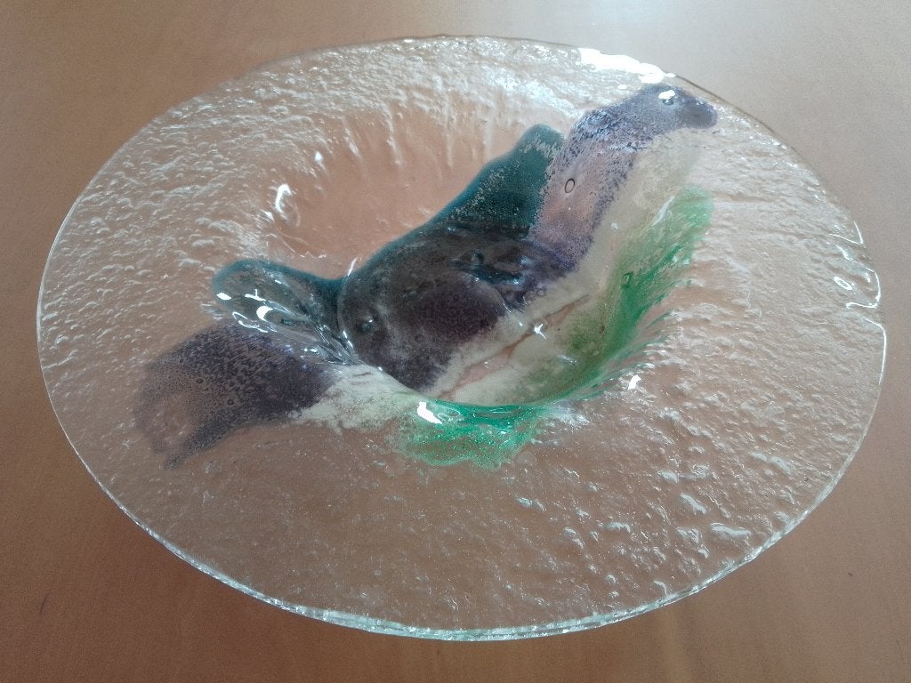 Glasobject / unica / schaal van Marjan Timman, Ophalen of Verzenden