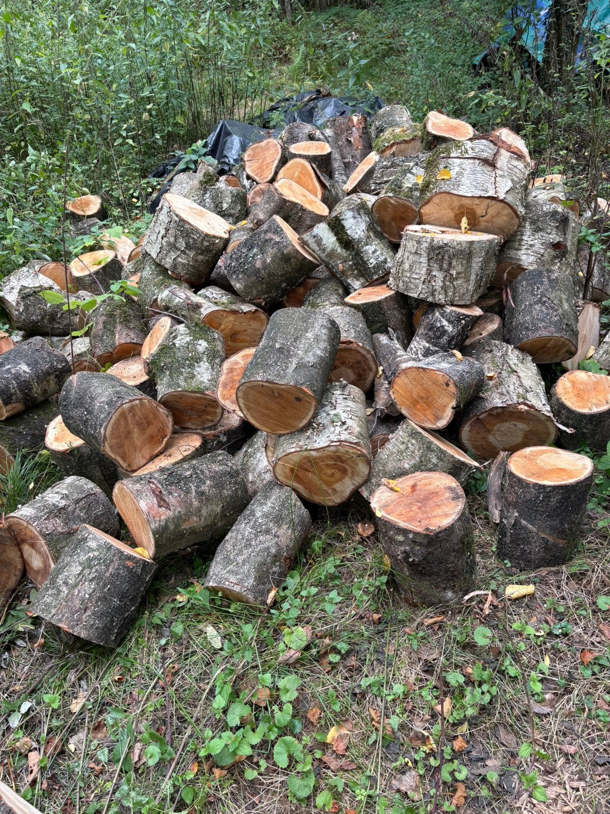 Haardhout Brandhout Kachelhout blokken ( omgeving Oldenzaal, Ophalen, Berkenhout, Blokken