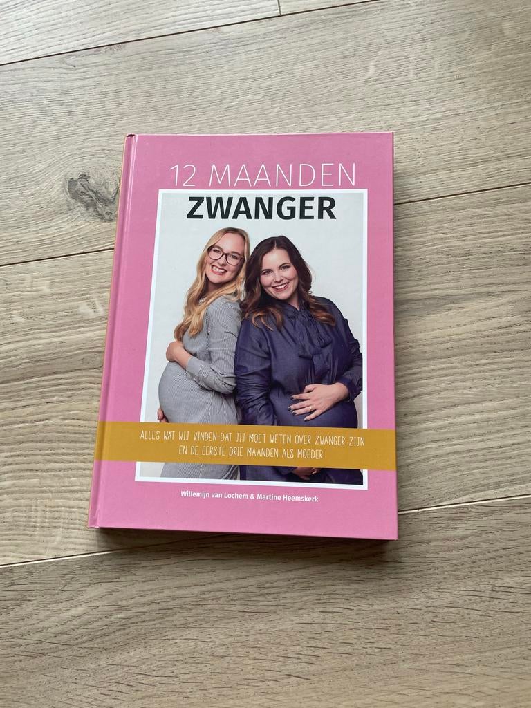 12 Maanden Zwanger - Boek over Zwangerschap, Boeken, Zwangerschap en Opvoeding, Ophalen, Zo goed als nieuw, Zwangerschap en Bevalling