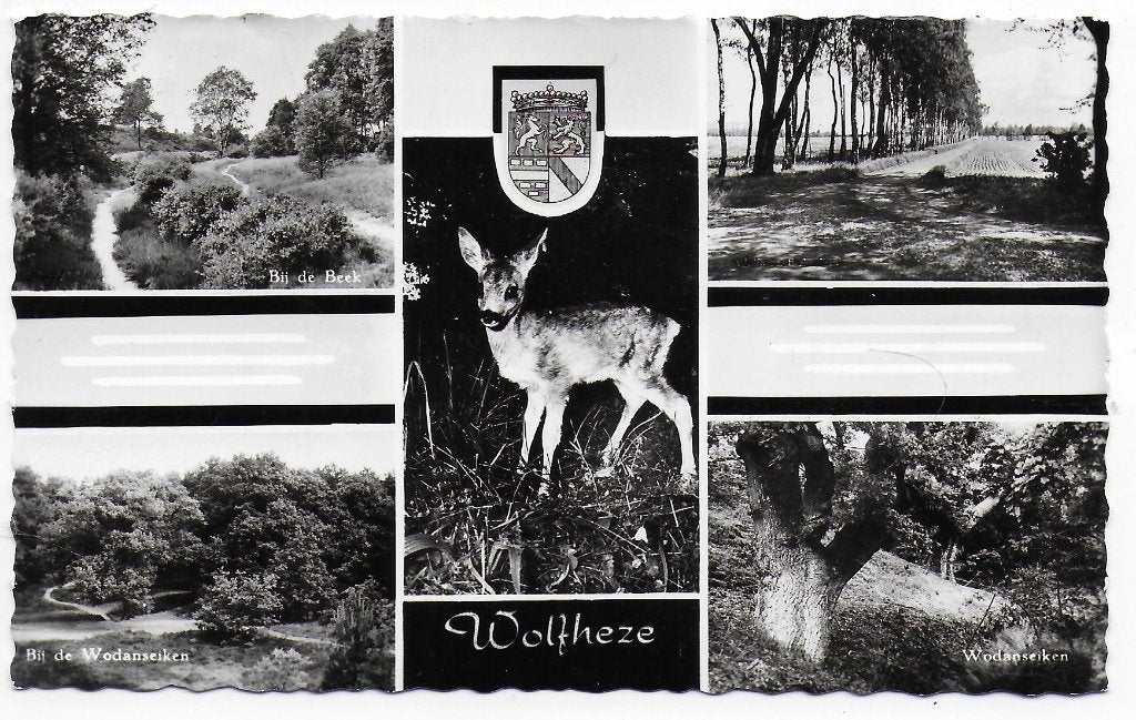 Wolfheze Ongelopen Ansichtkaart ( b6895 ), Ophalen of Verzenden, 1960 tot 1980, Gelopen, Noord-Brabant