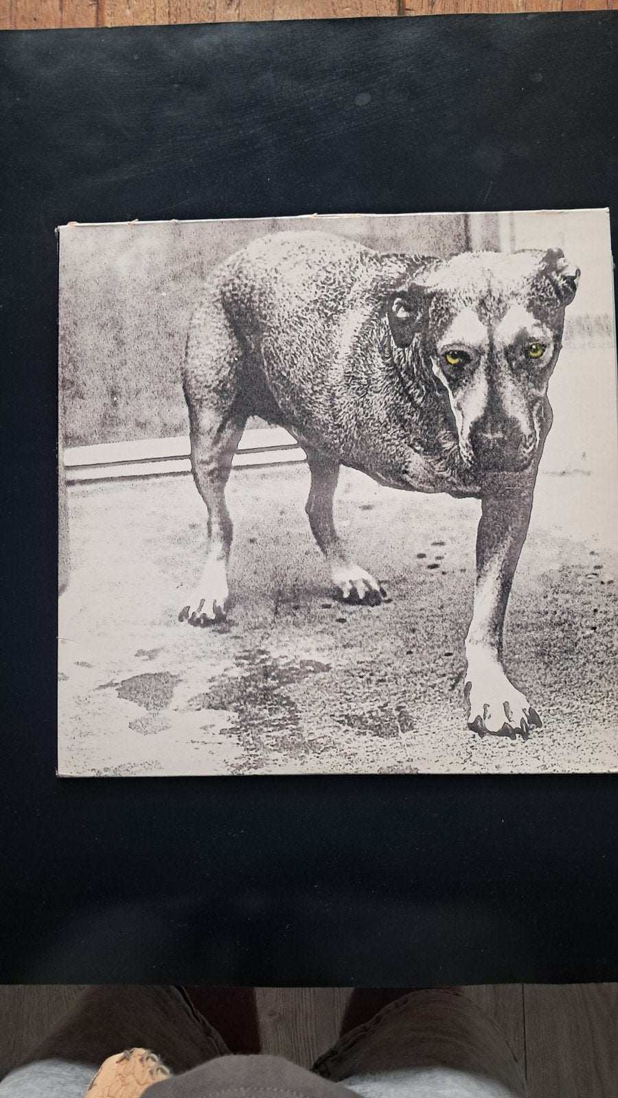 Alice in Chains - Alice in Chains (LP, Album), Cd's en Dvd's, Vinyl | Rock, Hard Rock, Ophalen of Verzenden, 12 inch, Dubbel-LP