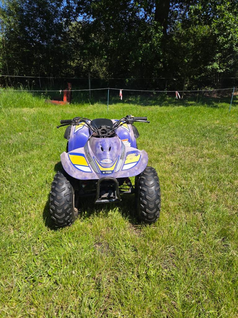 Eton 90cc hobbyquad, Ophalen, Gebruikt, Overige typen