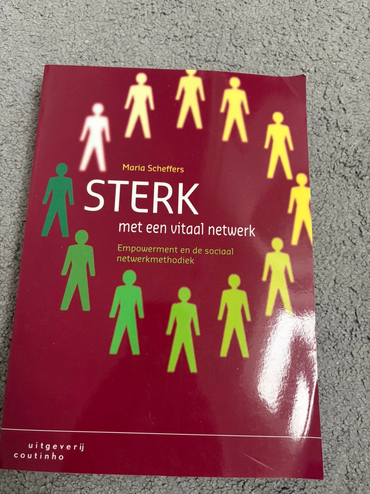 Maria Scheffers - Sterk met een vitaal netwerk, Sociale wetenschap, Ophalen of Verzenden, Maria Scheffers, Zo goed als nieuw