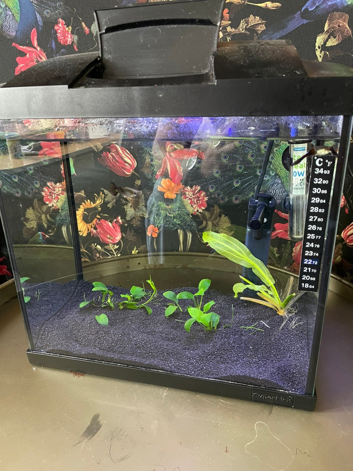Aquarium, Dieren en Toebehoren, Ophalen, Zo goed als nieuw, Leeg aquarium