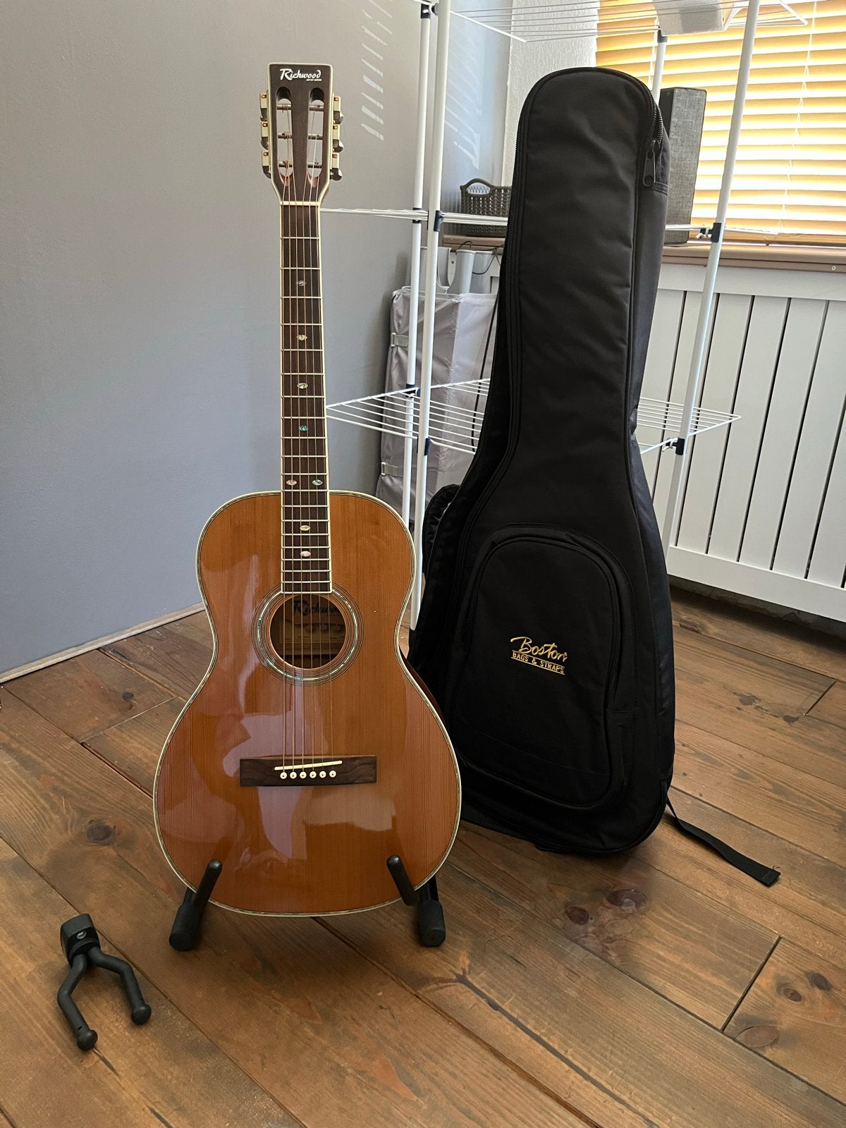 Richwood Artist Series Westerngitaar met koffer en standaard, Muziek en Instrumenten, Ophalen, Zo goed als nieuw, Western- of Steelstringgitaar