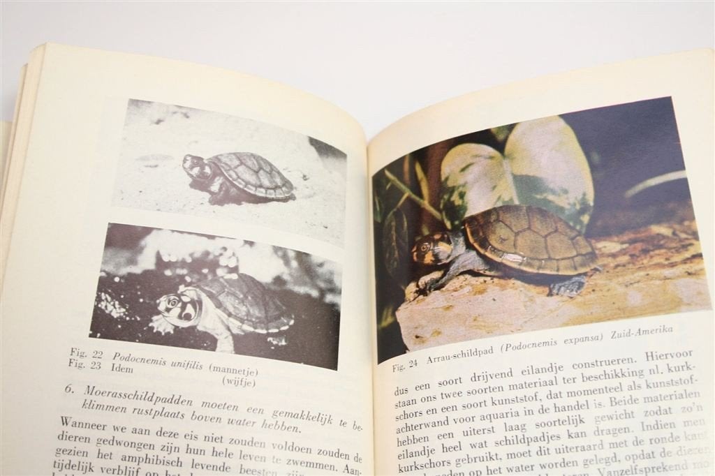 Het Schildpaddenboekje — Land- & Moerasschildpadden, Ophalen of Verzenden, Gelezen, Honden