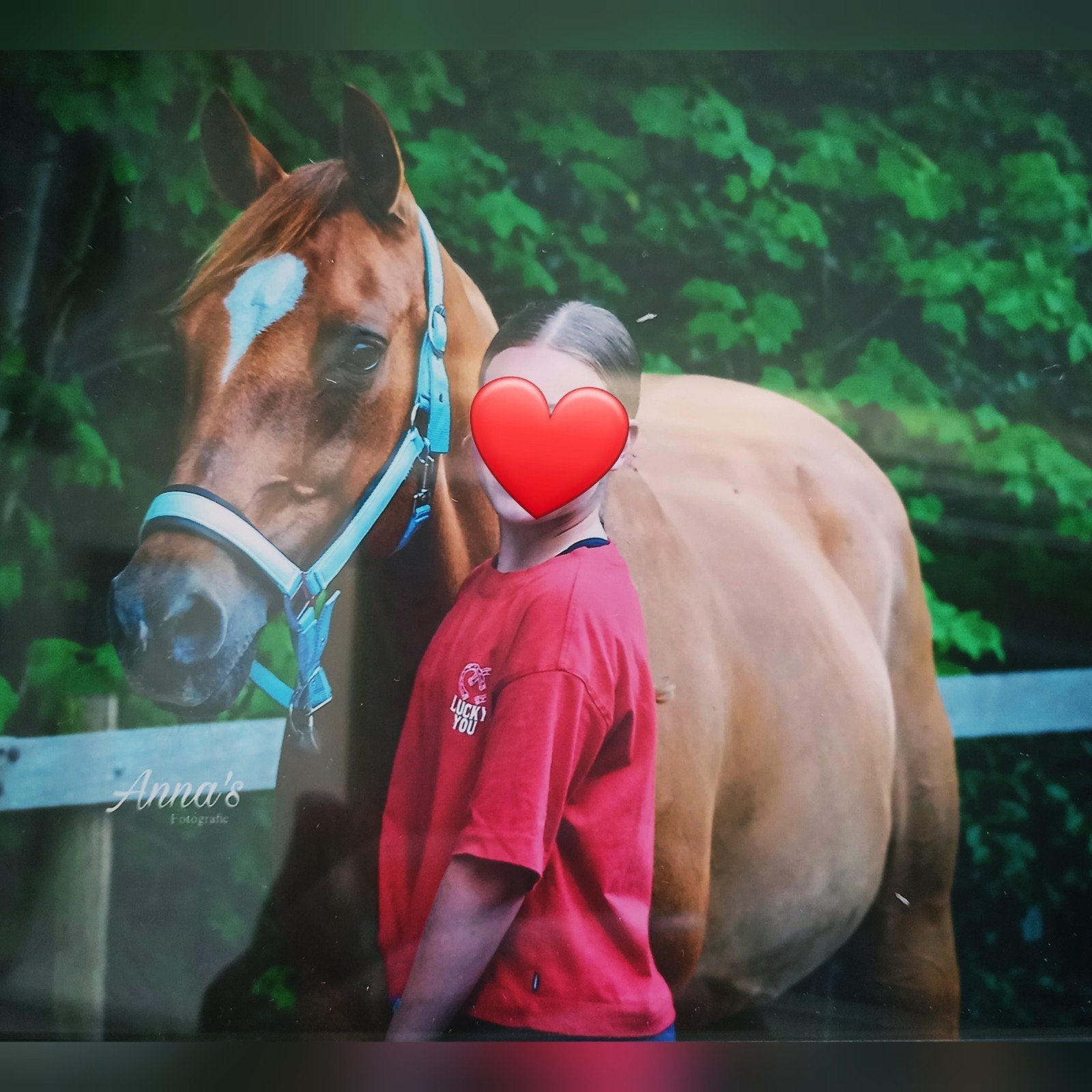 Verzorgpony/paard gezocht, verzorgster aangeboden, Dieren en Toebehoren, Ophalen of Verzenden