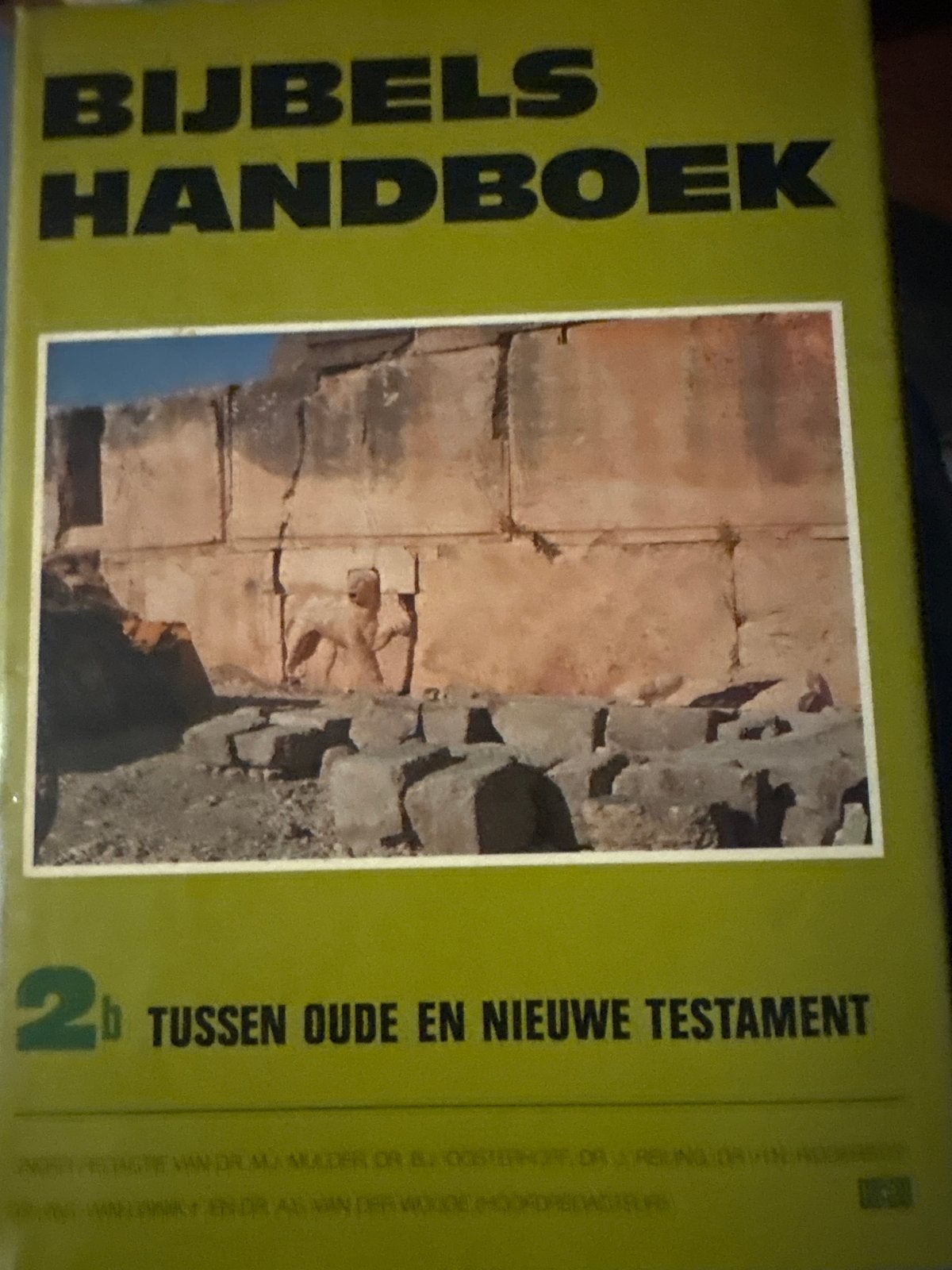 Bijbels Handboek 2b: Tussen Oude en Nieuwe Testament, Ophalen of Verzenden, Gelezen, Christendom | Protestants