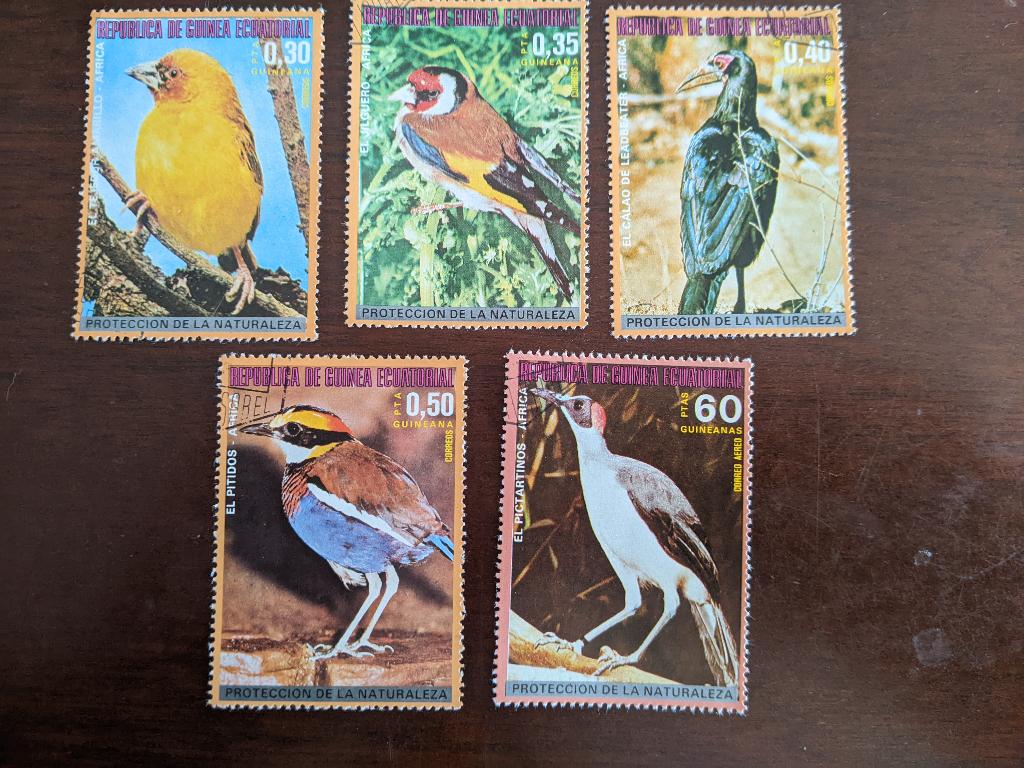 ECUATORIAAL GUINEE; set (5) VOGELS, Postzegels en Munten, Verzenden, Gestempeld, Dier of Natuur