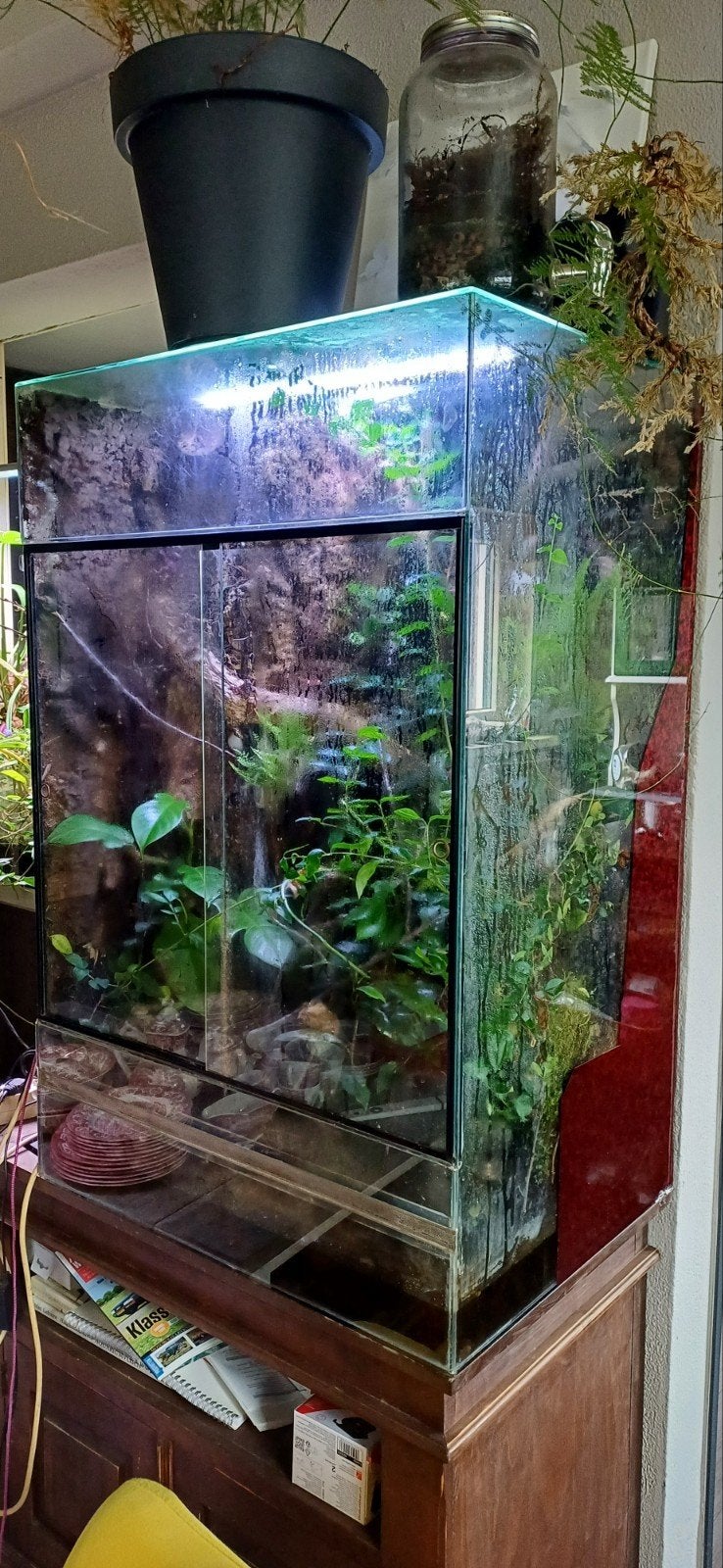 Terrarium 100Hx80Bx60D, Dieren en Toebehoren, Reptielen en Amfibieën | Toebehoren, Ophalen