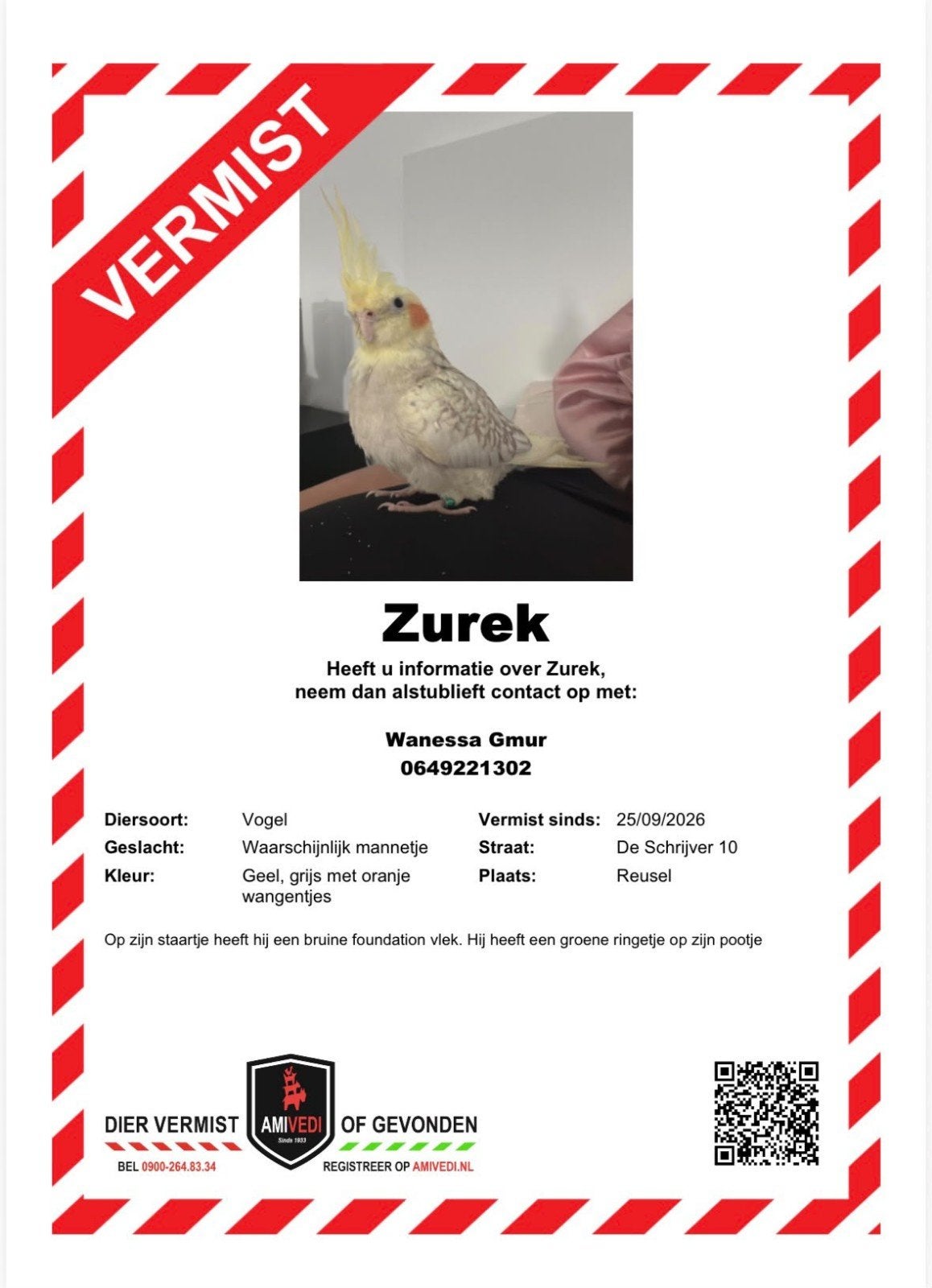 HELP Valkparkiet vermist, Vogel