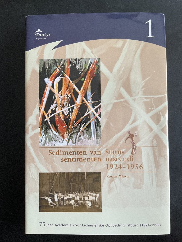 Sedimenten van sentimenten, 20e eeuw of later, Ophalen of Verzenden, Zo goed als nieuw, Kees van Tilborg