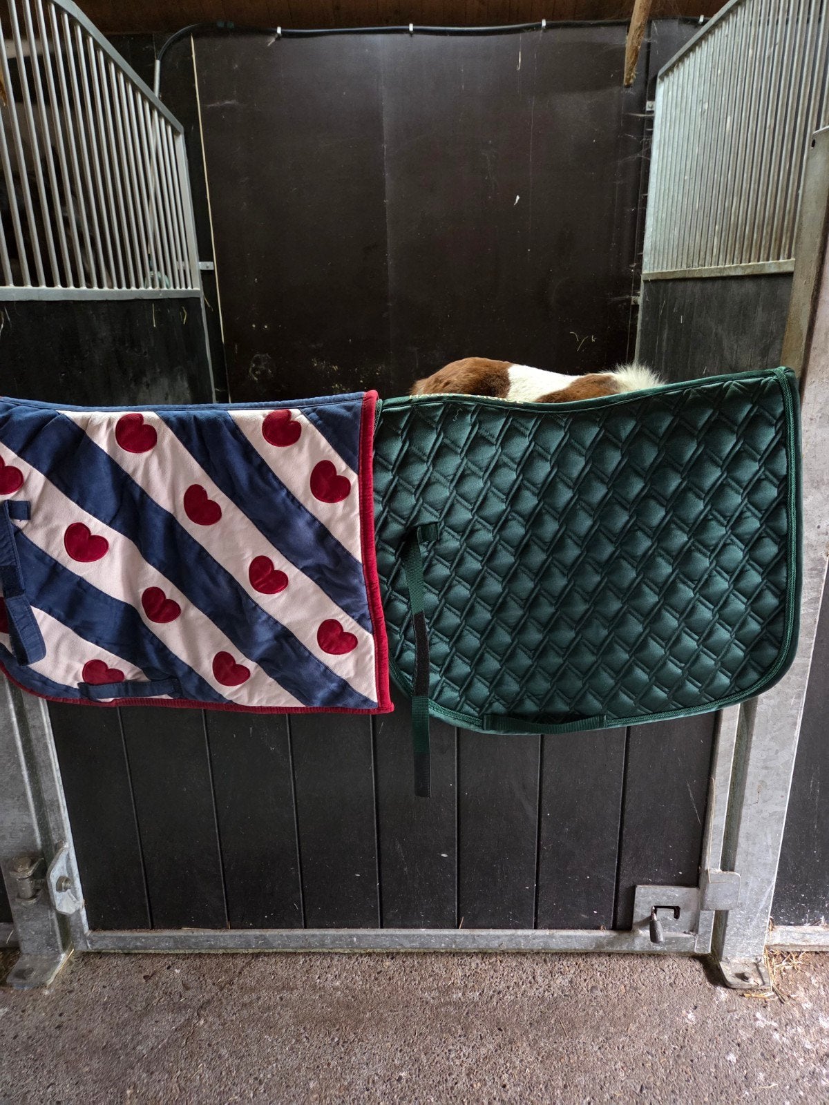 paarden dekjes, Ophalen of Verzenden, Gebruikt