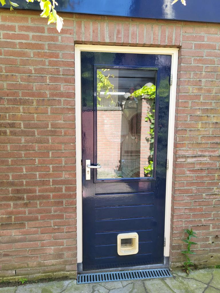 Donkerblauwe Buitendeur met Glas en Kattenluik, Doe-het-zelf en Verbouw, Deuren en Horren, Gebruikt, Ophalen of Verzenden, 200 tot 215 cm