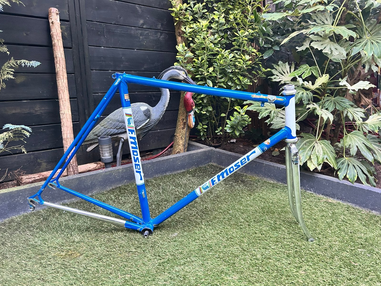 Moser stalen raceframe, Ophalen, Gebruikt, Frame