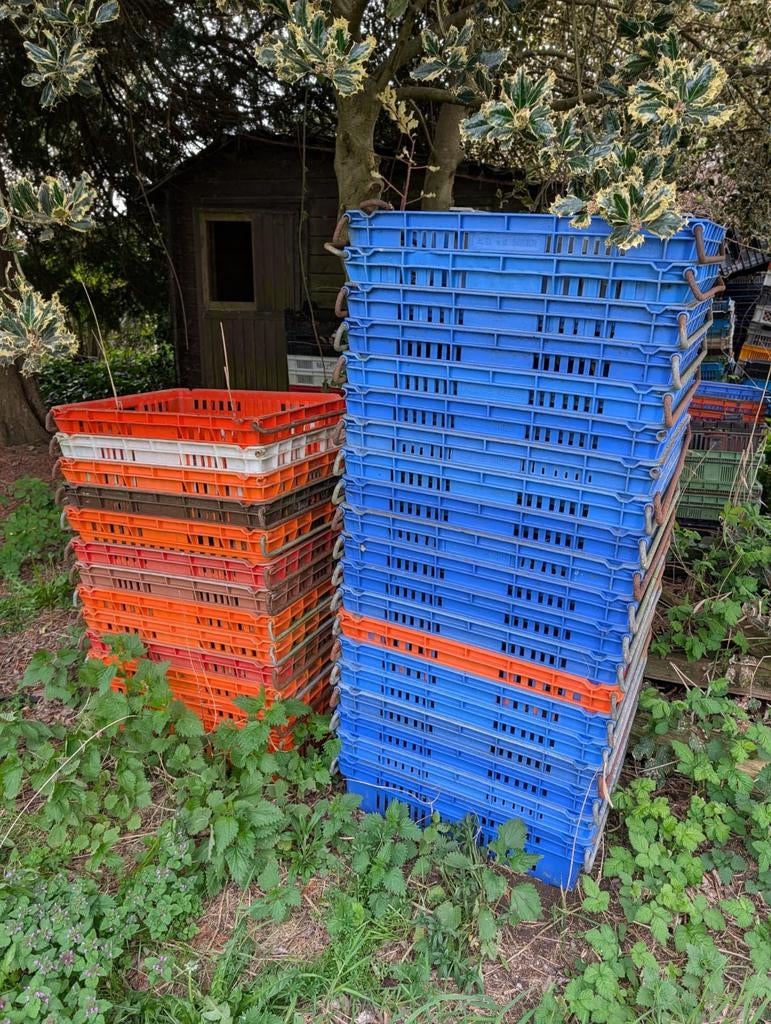 Grote partij kweekpotten en kratten – gratis af te halen, Ophalen, Gebruikt, Kweekbak