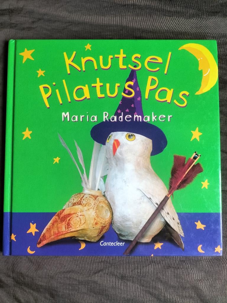 Maria Rademaker - Knutsel Pilatus Pas, Boeken, Ophalen of Verzenden, Zo goed als nieuw, Maria Rademaker, Non-fictie