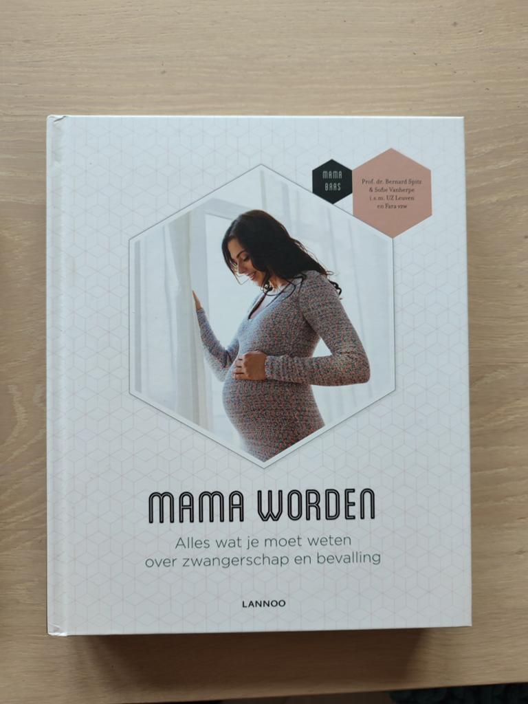 Mama worden - Bernard Spitz, Boeken, Ophalen of Verzenden, Zo goed als nieuw, Bernard spitz
