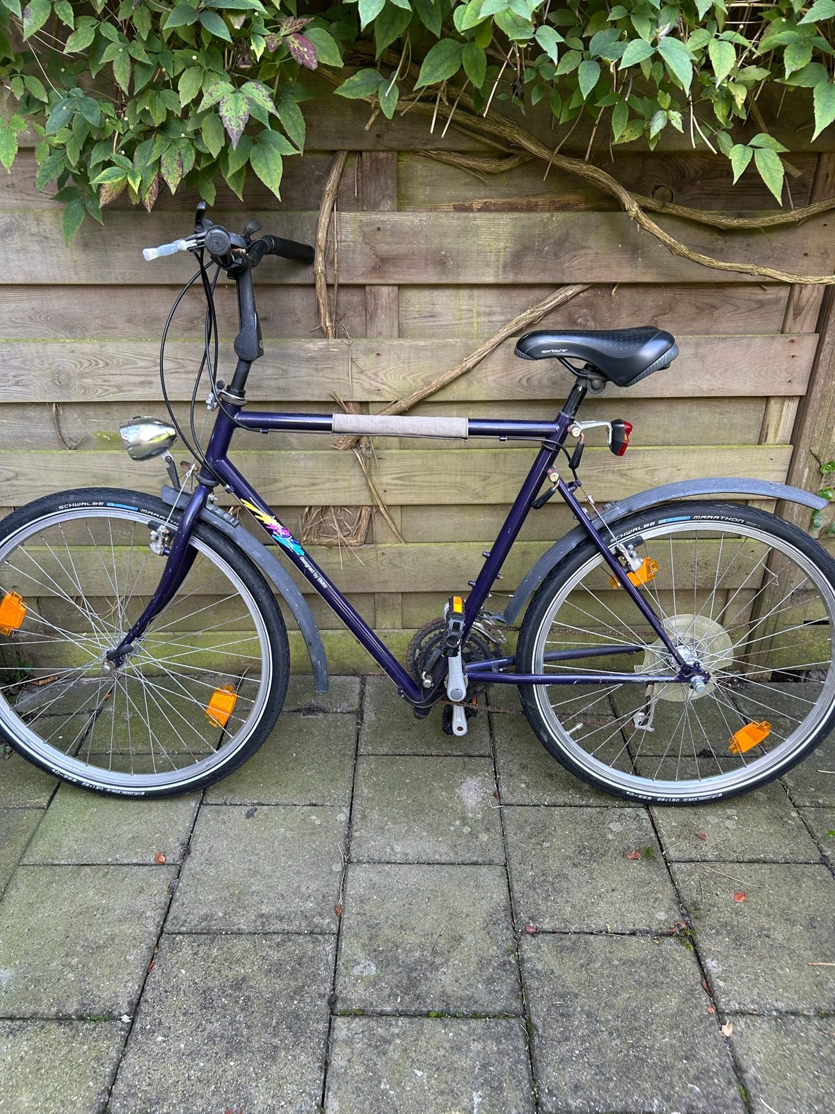 Nette BMW fiets met versnellingen en spatborden, Gebruikt, Velgrem, Versnellingen, 53 tot 57 cm