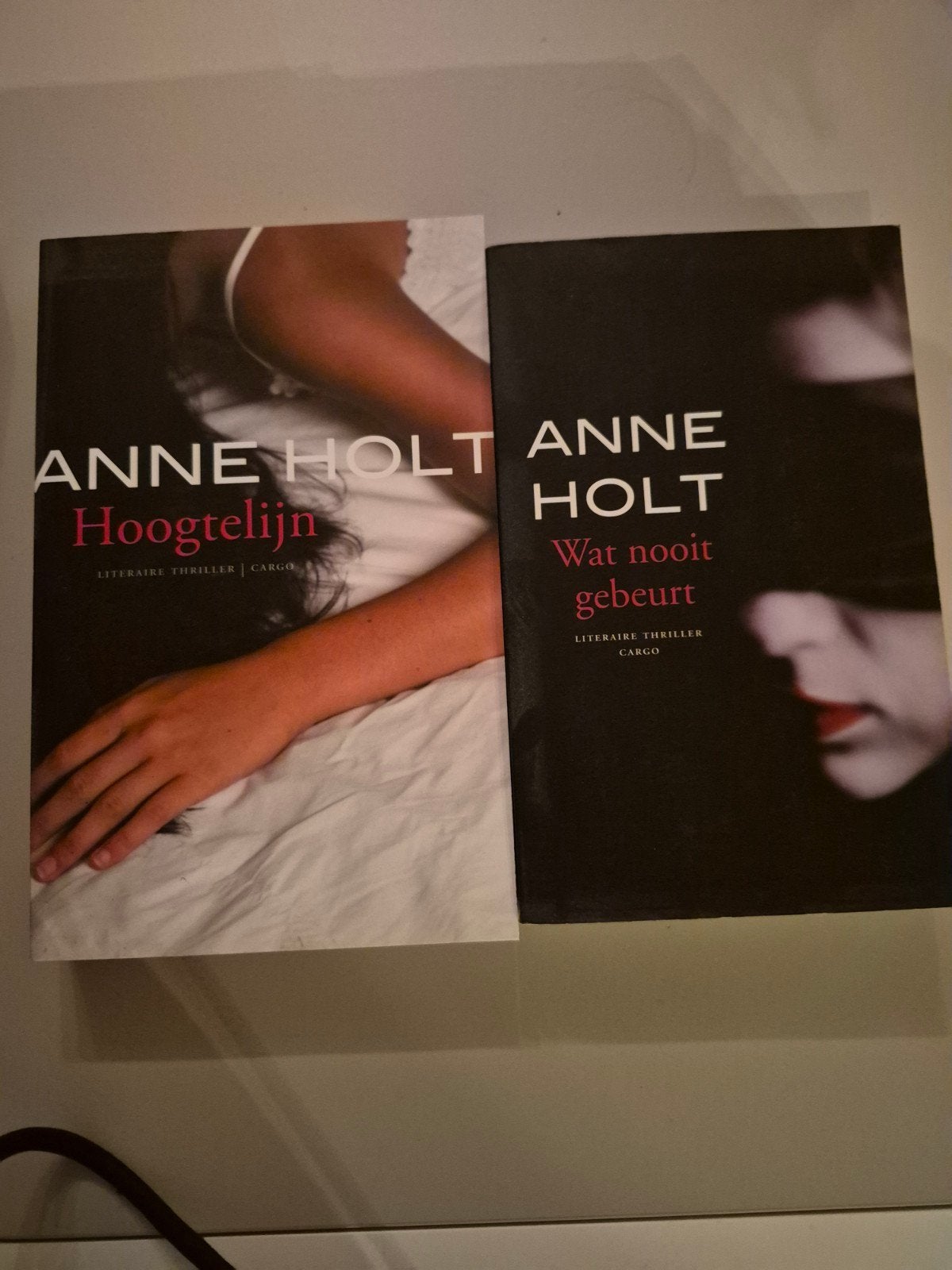 Anne Holt - Hoogtelijn & Wat nooit gebeurt (2 thrillers), Ophalen of Verzenden, Gelezen, Anne Holt, Scandinavië