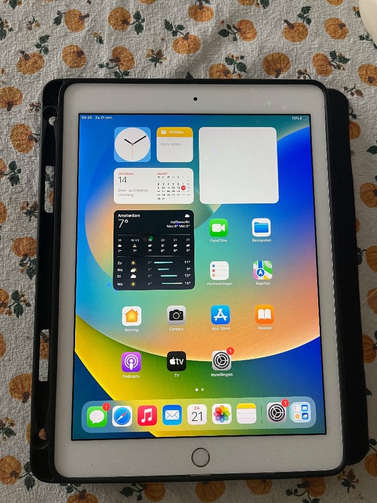 Foto 3 van iPad Pro 2016 (9,7 inch)