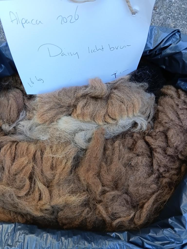 Alpaca vacht Daisy, superzacht met veel crimp, Ophalen of Verzenden, Nieuw, Spinwol