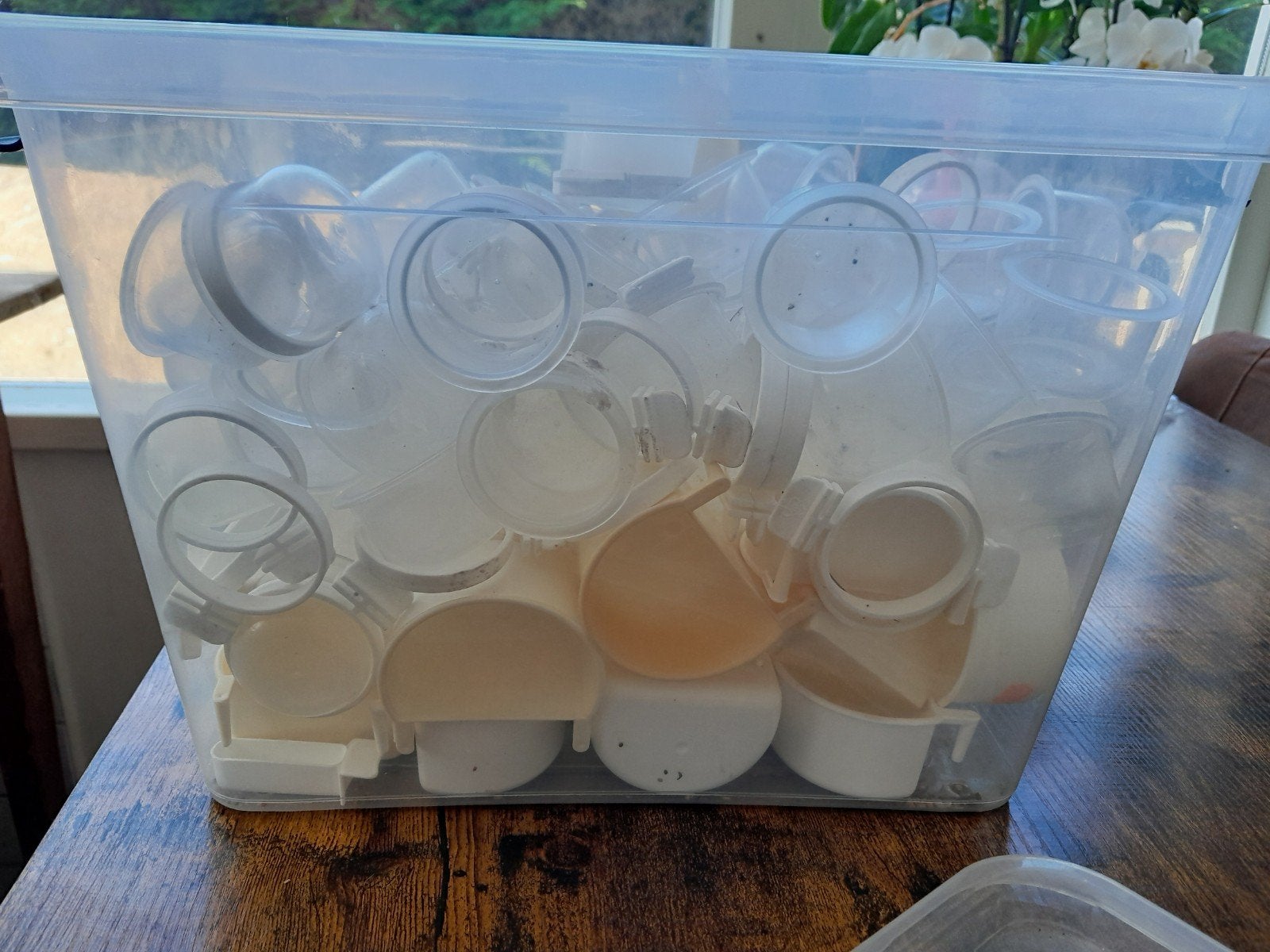 vogelbakjes doos vol, Ophalen of Verzenden